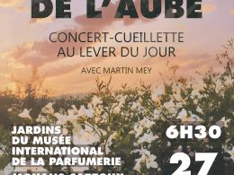 les promesses de l'aube