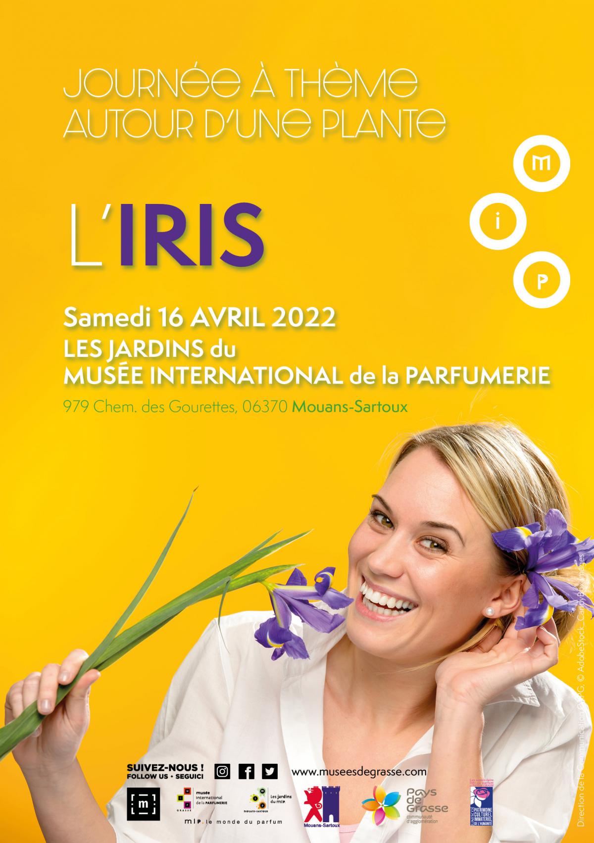 iris