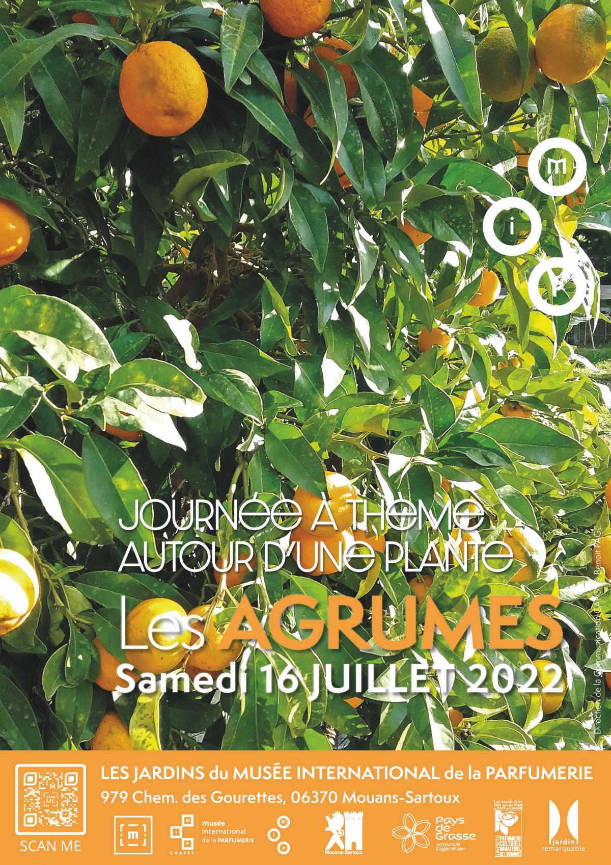 agrumes