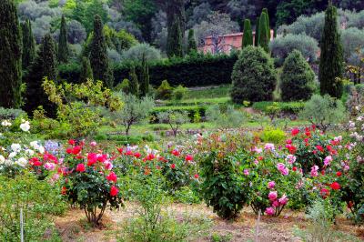 Vue générale des Jardins du MIP (Code ID : 302010)