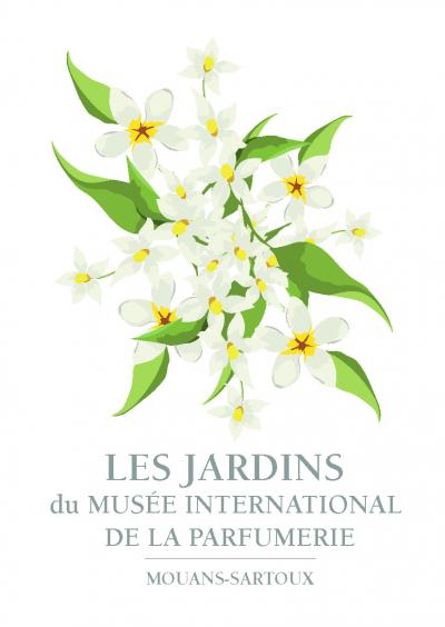 Carte postale parfumée au jasmin