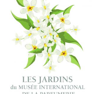Carte postale parfumée au jasmin
